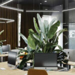 Gỗ MDF có mấy loại